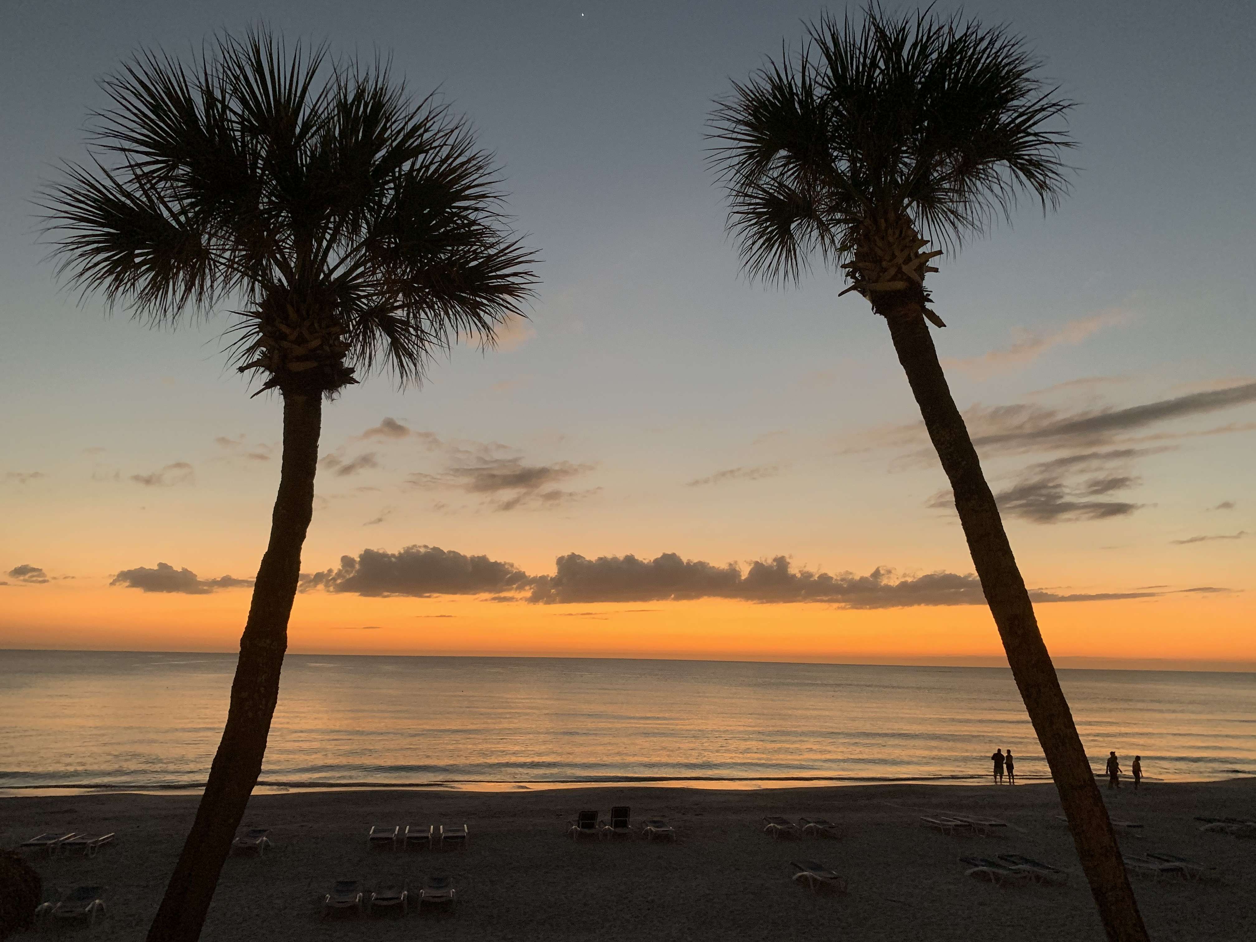 Lido Key sunset with palms